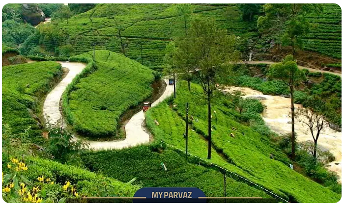 Nuwara Eliya Sri Lanka